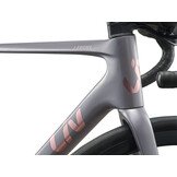 Liv Langma Advanced 2 2026 Native Grey