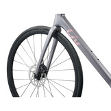 Liv Langma Advanced 2 2026 Native Grey