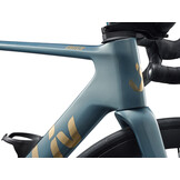 Liv EnviLiv Advanced 2 2026 Midnight Pine