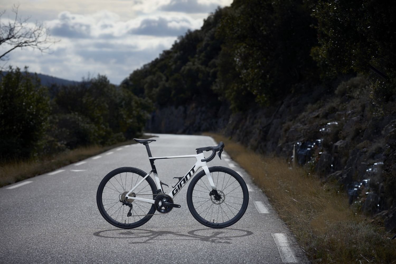 Giant propel vs aeroad