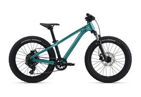 Giant STP 20 2026 Teal