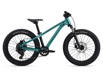 Giant STP 20 2026 Teal