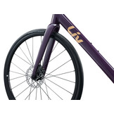 Liv Beliv AR 2 2027 Tyrian Purple