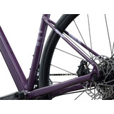 Liv Beliv AR 2 2027 Tyrian Purple