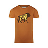 T-shirt ss Brown R50866-37