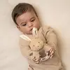 Ringrammelaar Baby bunny