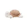 Activity Toy Deepsea Turtle