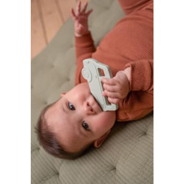 Little Dutch Little Dutch Siliconen Bijtspeeltje Bus