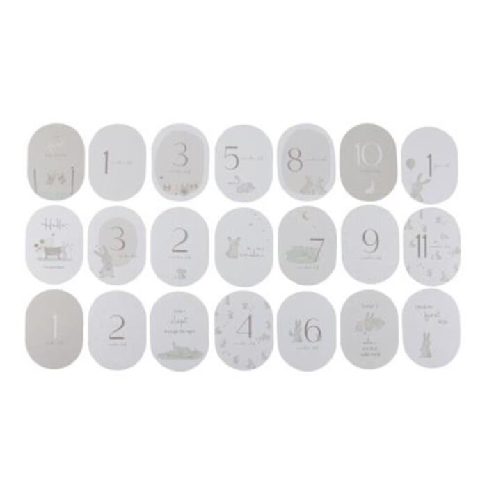 Little Dutch Mijlpaal kaarten 'Mijn eerste jaar' Baby Bunny FSC