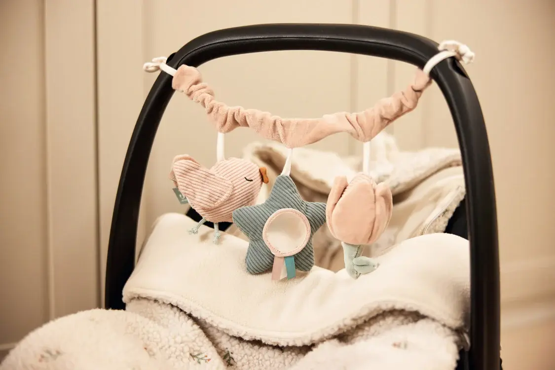 Jollein Wagenspanner Lovely Birds