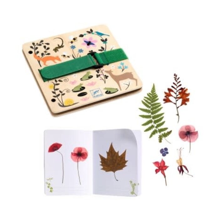 Djeco DIY - Ontluikende botanicus