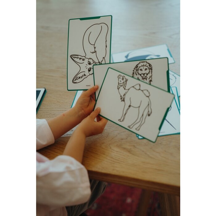 Kidywolf KIDYDRAW-MINI Tekenblok dieren over de hele wereld