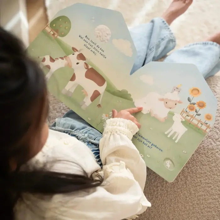 Little Dutch Little Dutch doorkijkboek boerderij