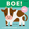 Wat hoor ik daar? - Boe! (geluidenboekje)