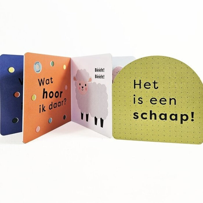 Wat hoor ik daar? - Boe! (geluidenboekje)