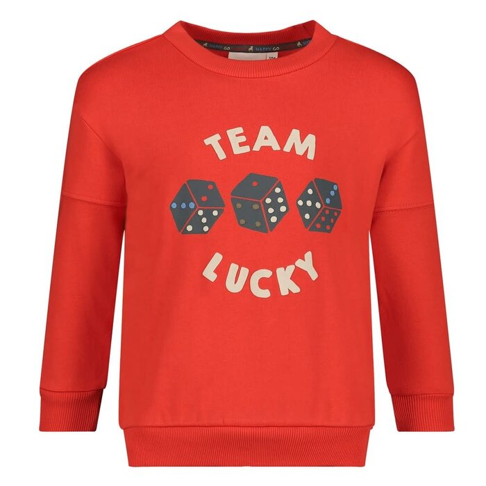 Sturdy Sweater Rood - Couch Club