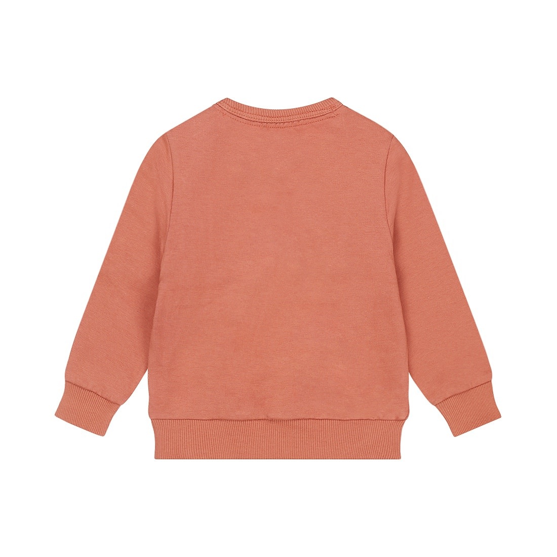 Dirkje Sweater Rust