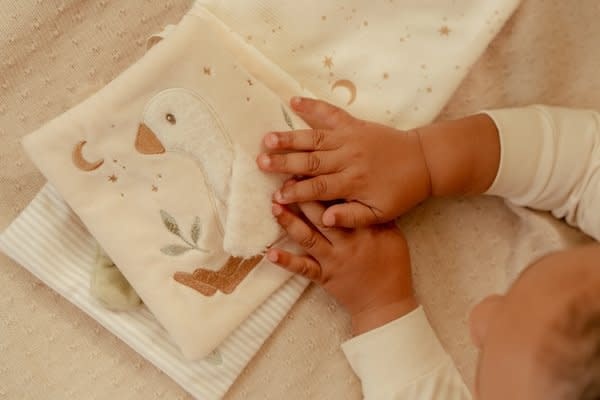 Little Dutch LD activiteitenboekje Newborn GRS