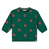 baby boys sweatshirt turtle BBE25527423