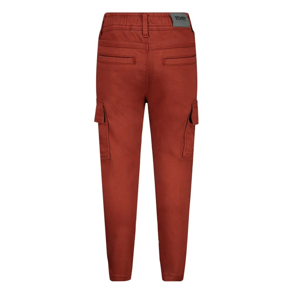 Sturdy Cargo broek Roest - Chasing Trails