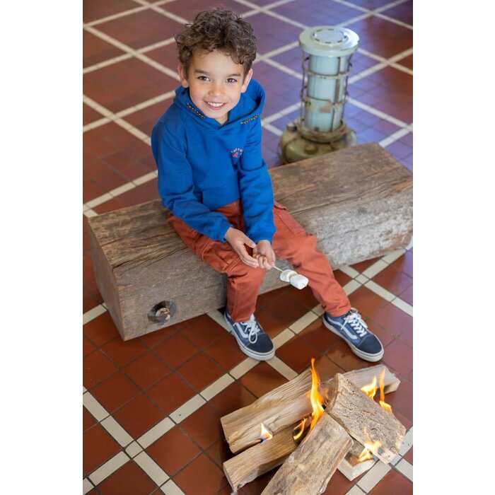 Sturdy Cargo broek Roest - Chasing Trails