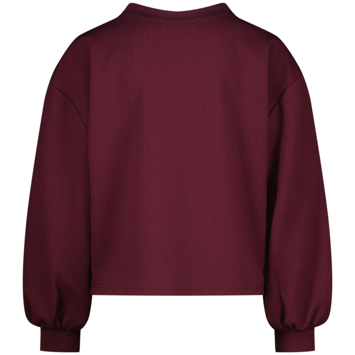 Raizzed T-shirt Tosca Dark grape