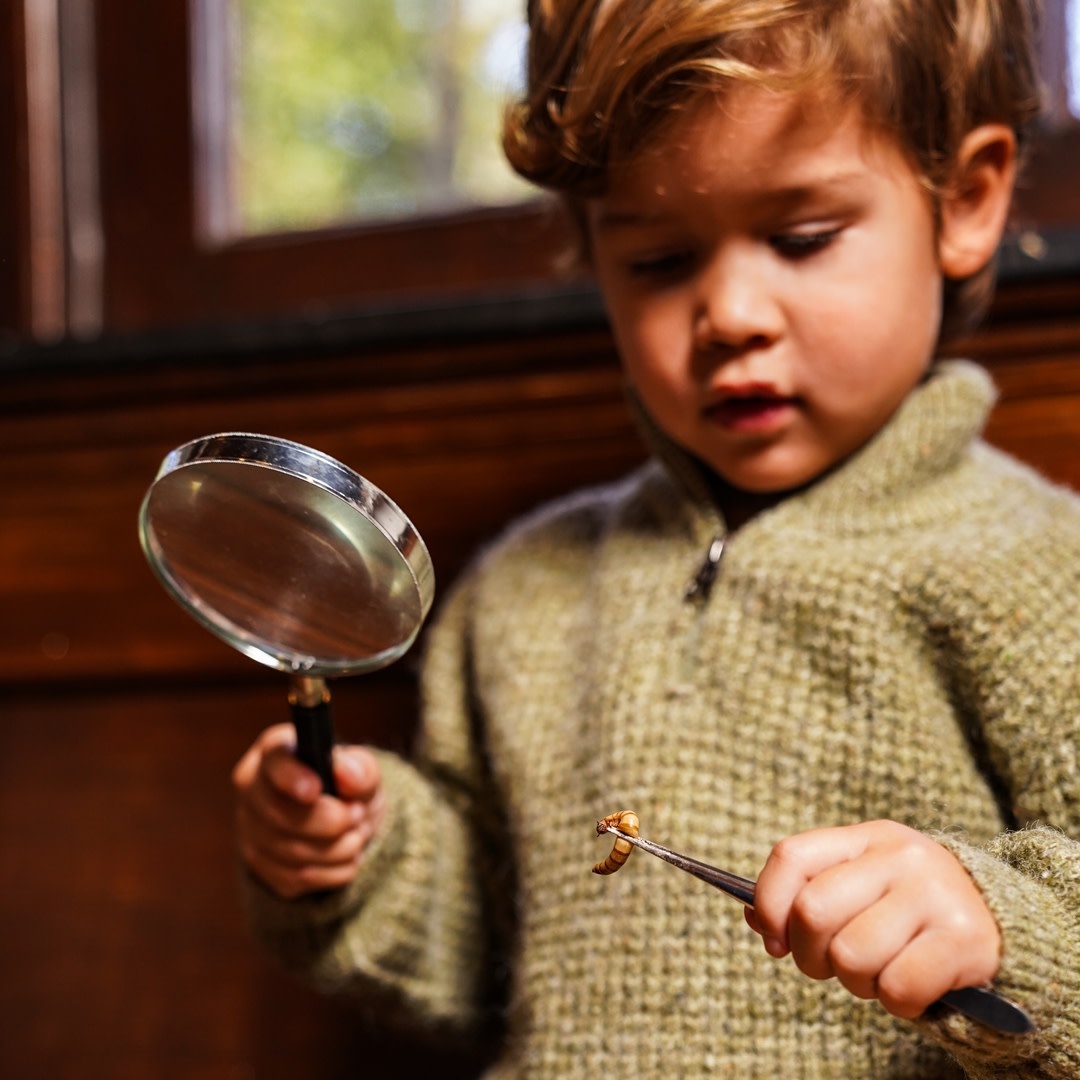 Koko Noko Sweater with collar Dusty green