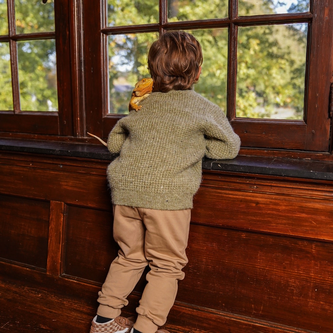 Koko Noko Sweater with collar Dusty green