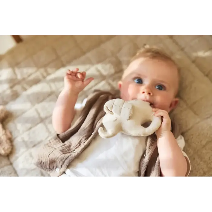 Jollein Rammelaar Elephant Tales