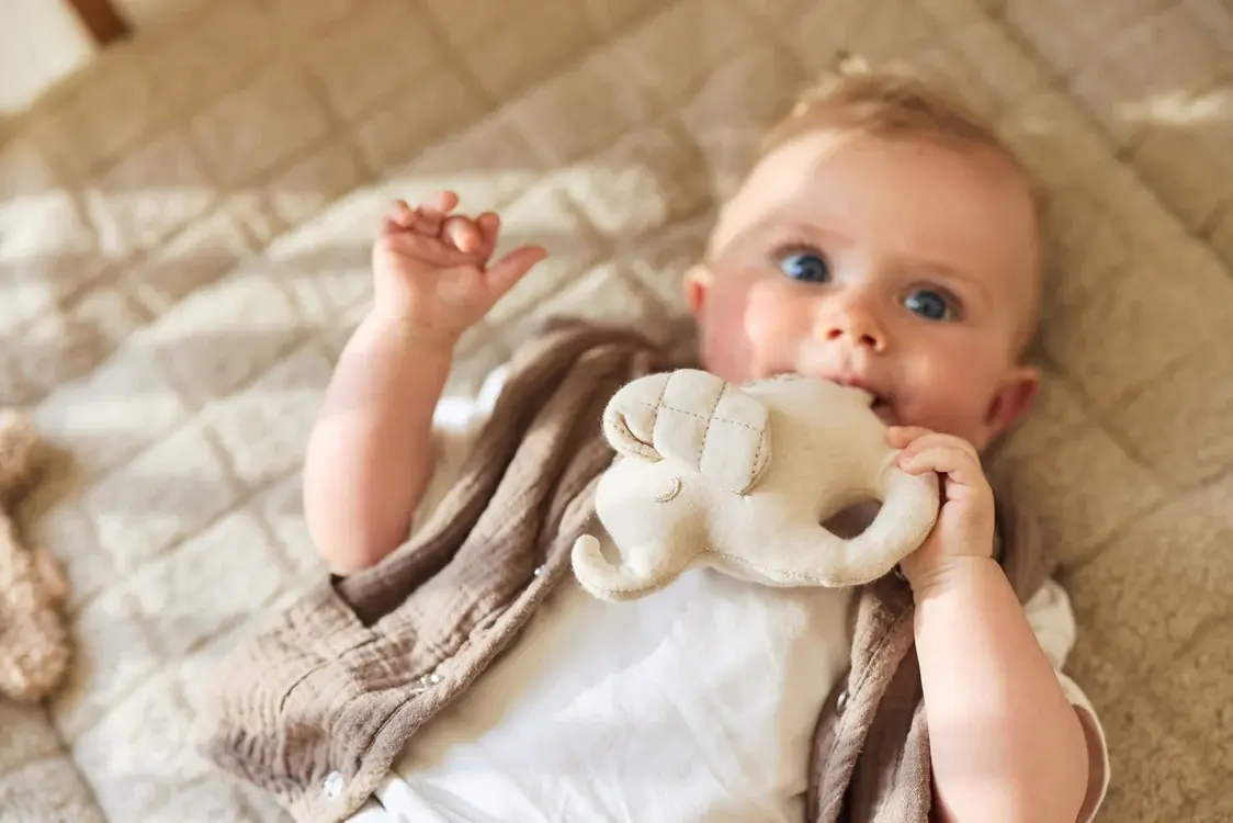 Jollein Rammelaar Elephant Tales