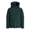 JJGLOBAL PUFFER JACKET MNI Scarab
