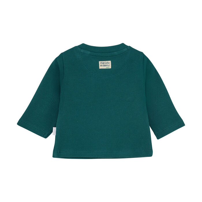 Noppies Boys Tee Stafford long sleeve