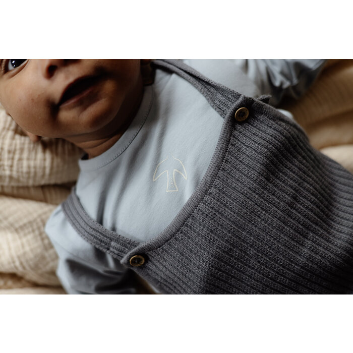 Levv SHIRT LNBW25LARS