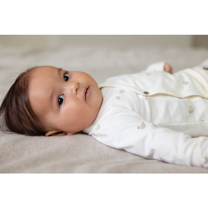 Noppies U Tee wrap Nour long sleeve Animals pattern