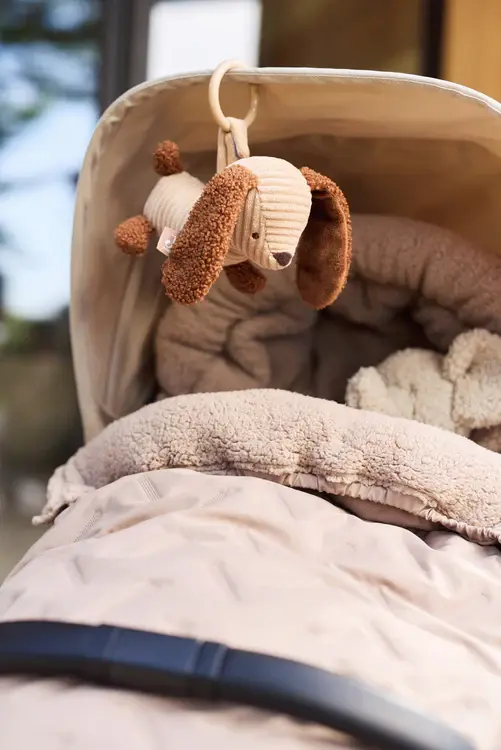 Jollein Wagenhanger Diego Dog