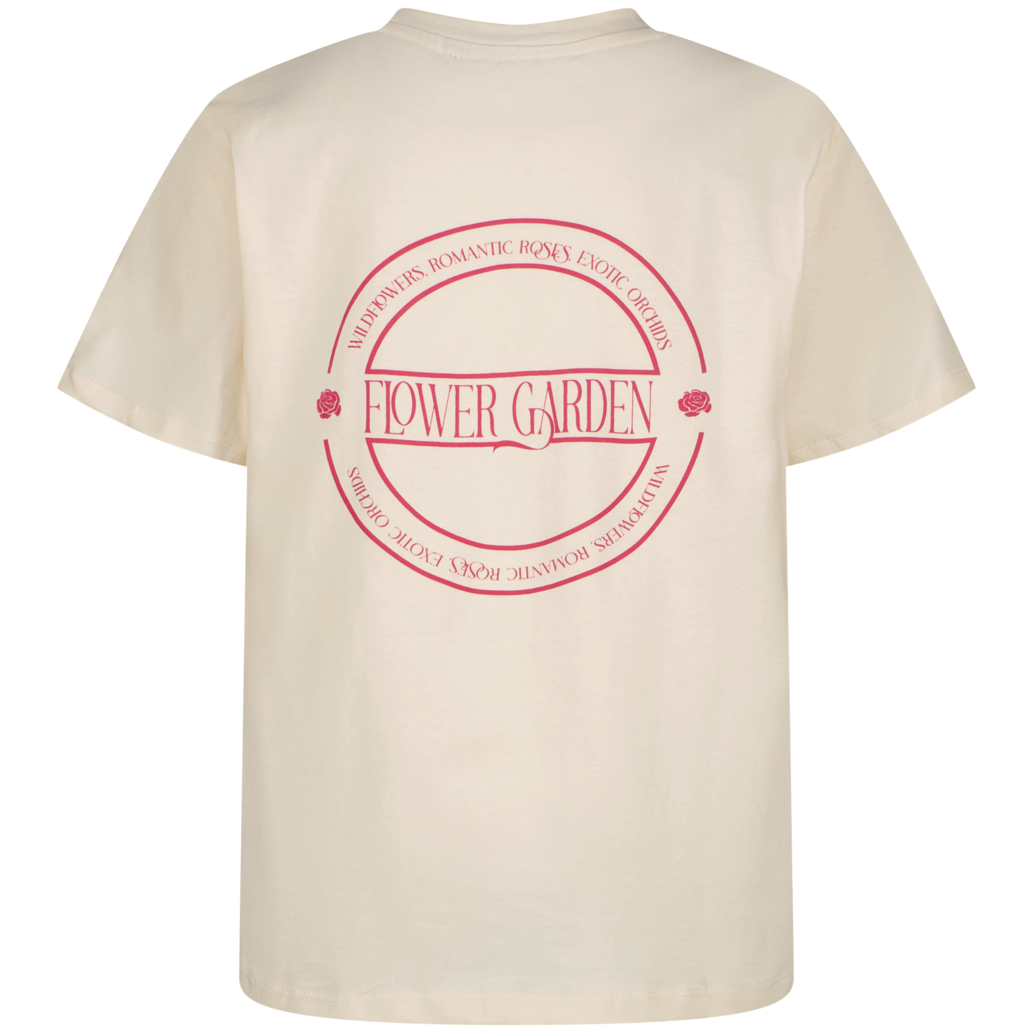 Raizzed Tarla Eggnog