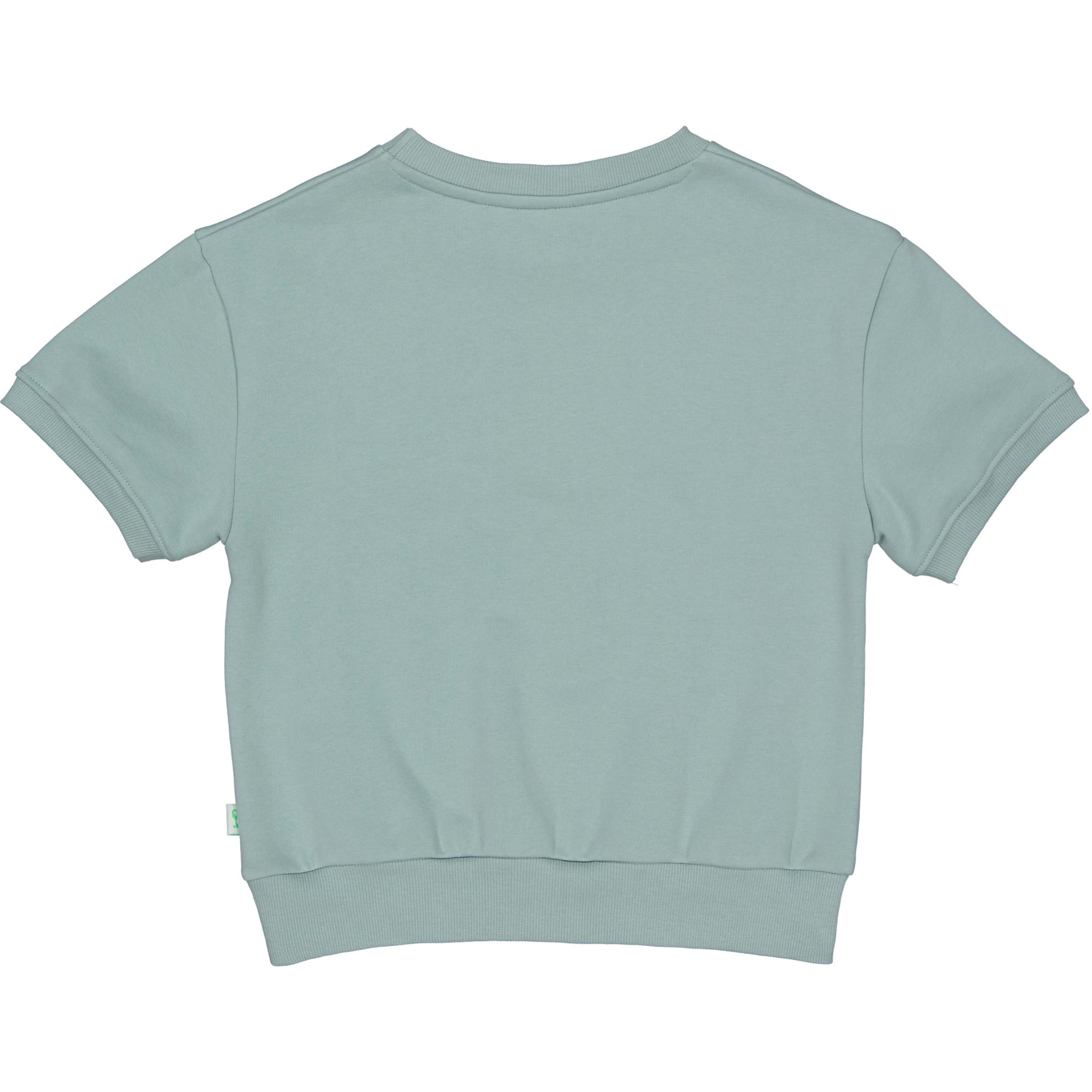 QPI Sweater QS261DAVE Dark Mint