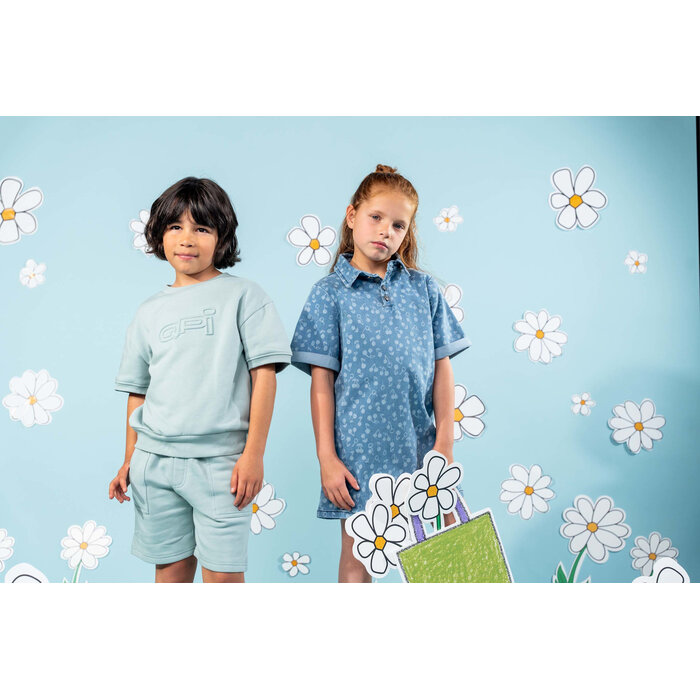 QPI Sweater QS261DAVE Dark Mint