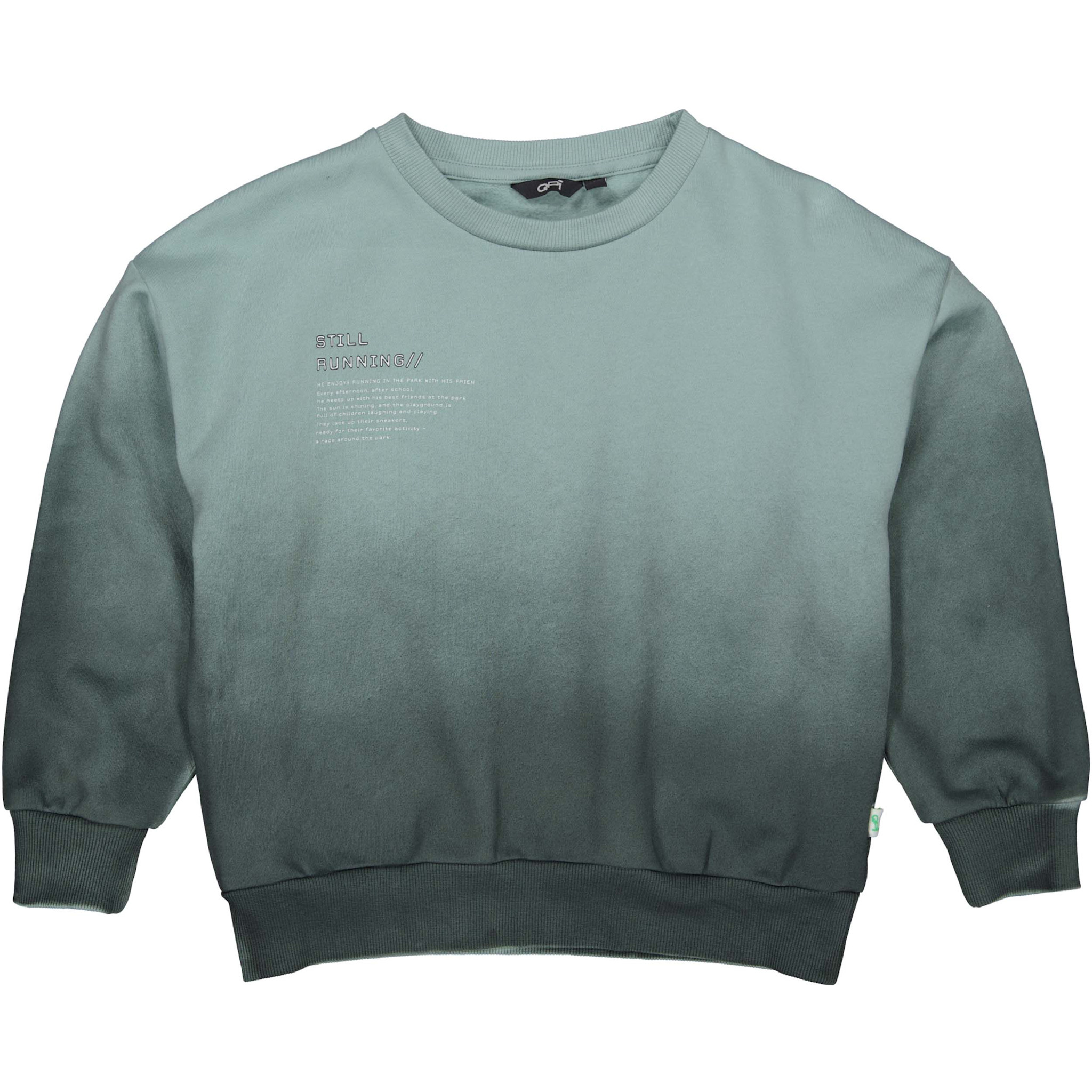 QPI Sweater QS261DAX Dark Mint