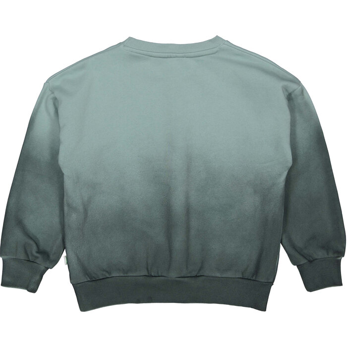QPI Sweater QS261DAX Dark Mint