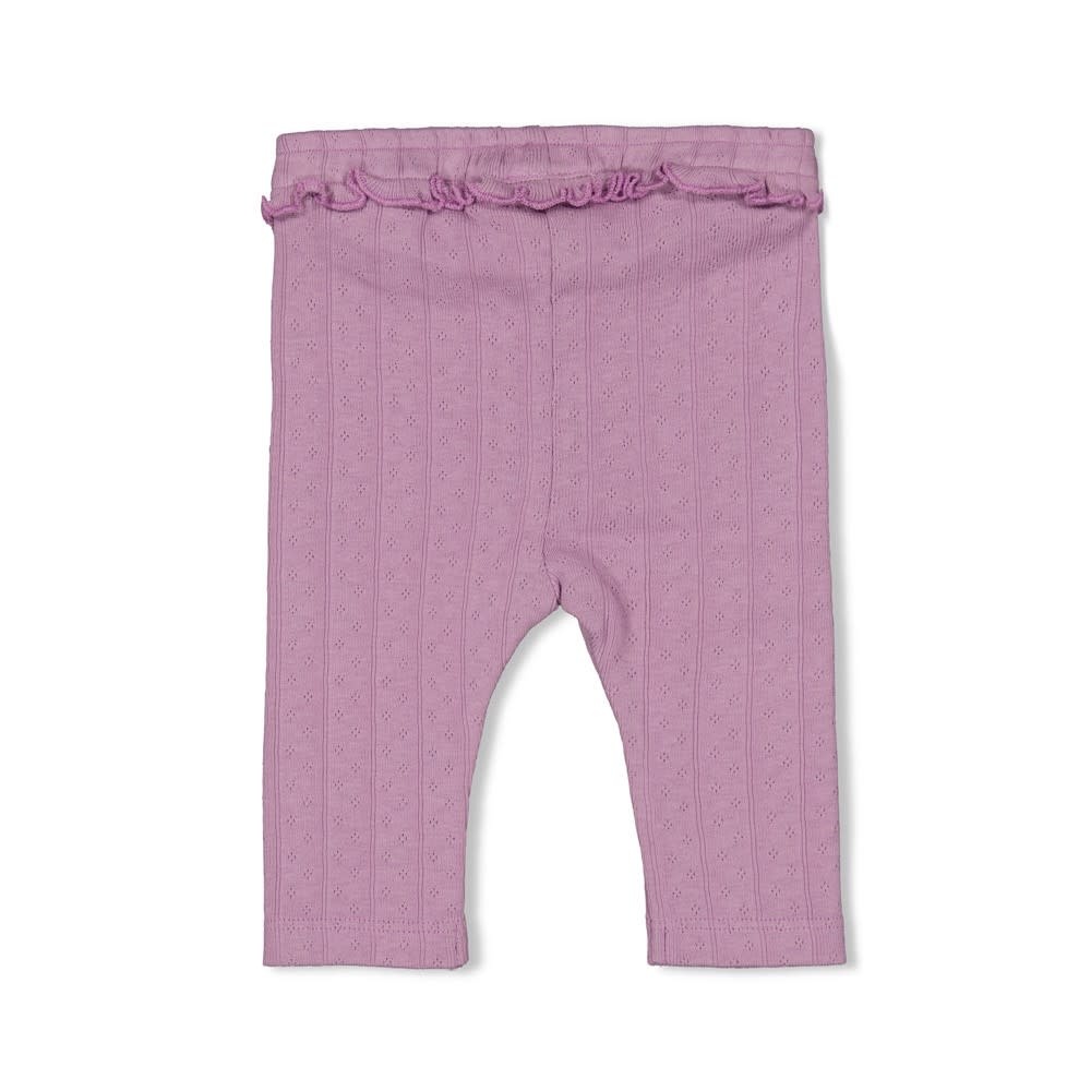 Feetje Legging pointelle rib Violet - Flower Ranch