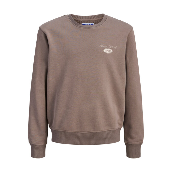 Jack & Jones JJEDOVER GRAPHIC SWEAT CREW NECK MNI Falcon