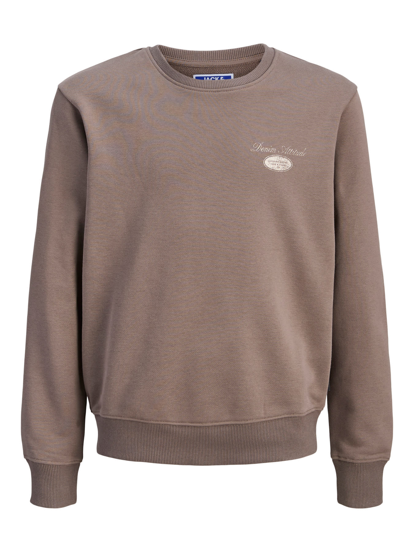 Jack & Jones JJEDOVER GRAPHIC SWEAT CREW NECK MNI Falcon