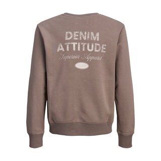 Jack & Jones JJEDOVER GRAPHIC SWEAT CREW NECK MNI Falcon