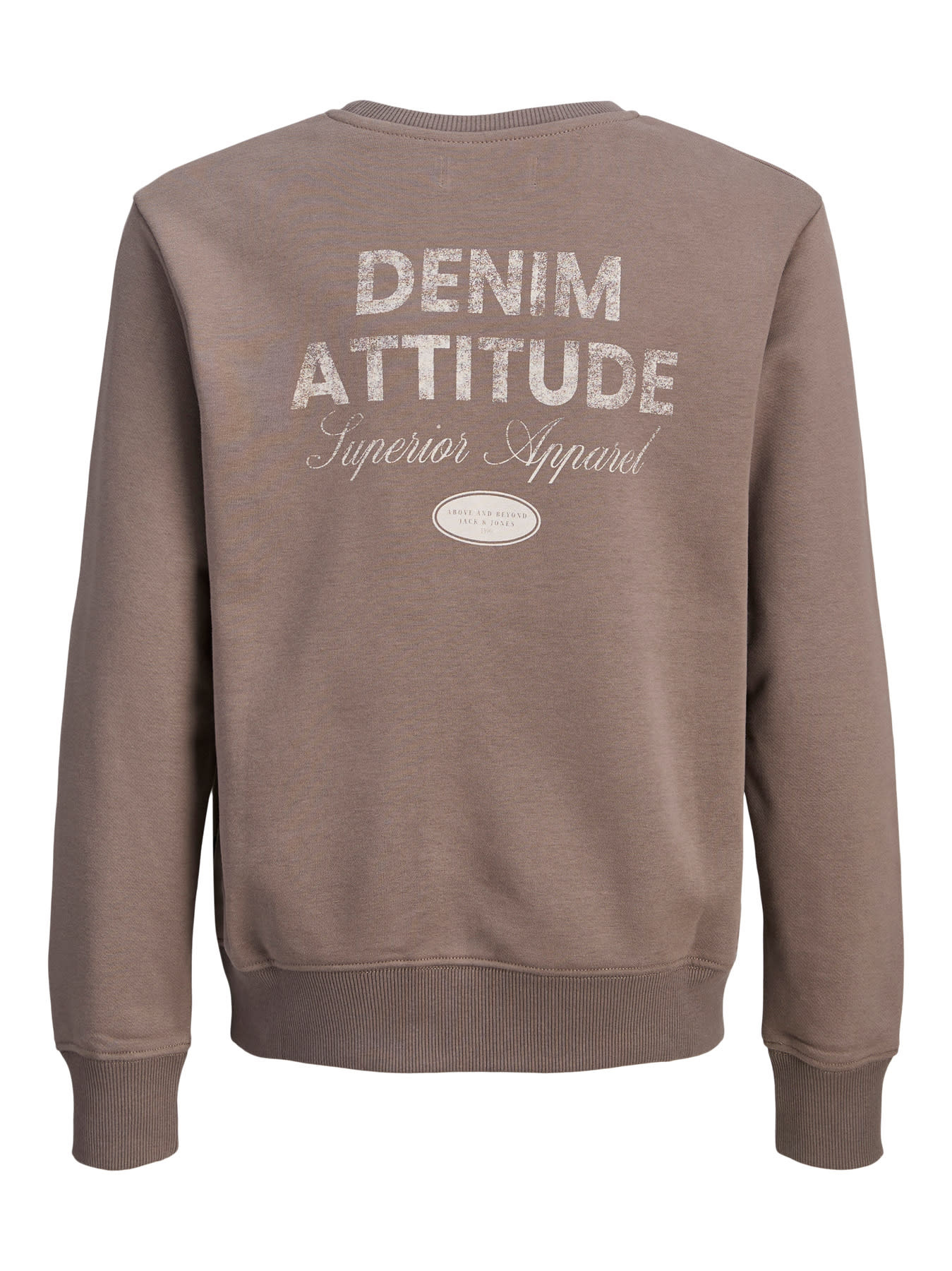 Jack & Jones JJEDOVER GRAPHIC SWEAT CREW NECK MNI Falcon