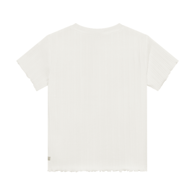 Daily7 T-shirt Artwork Egret