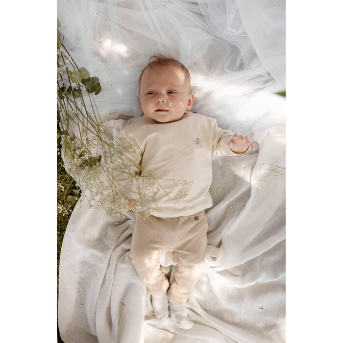 Levv Pants LNBS26MAX Greige