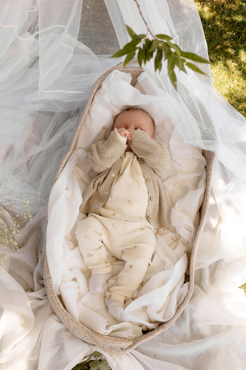 Levv Pants LNBS26MENNO AOP Green Sketch