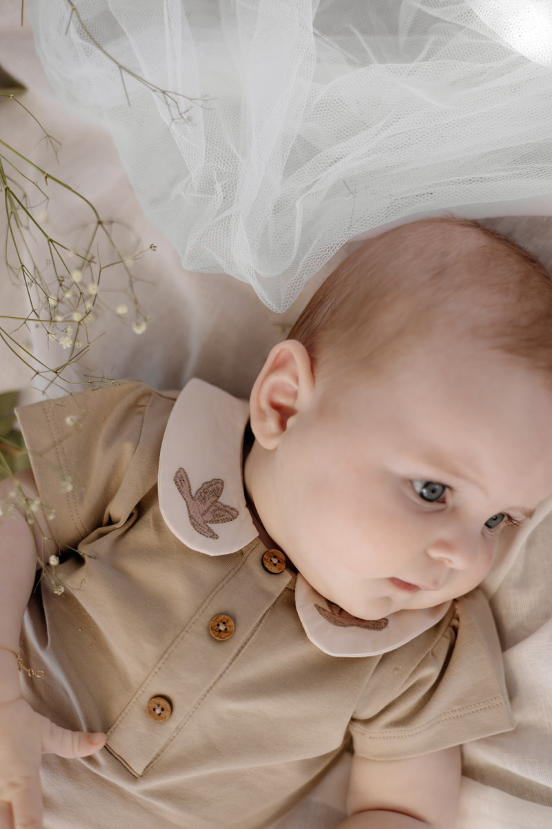 Levv Shirt LNBS26MAE Greige