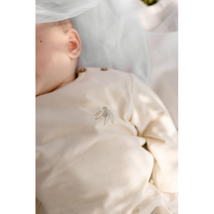 Levv Shirt LNBS26MARLON Cotton Cream